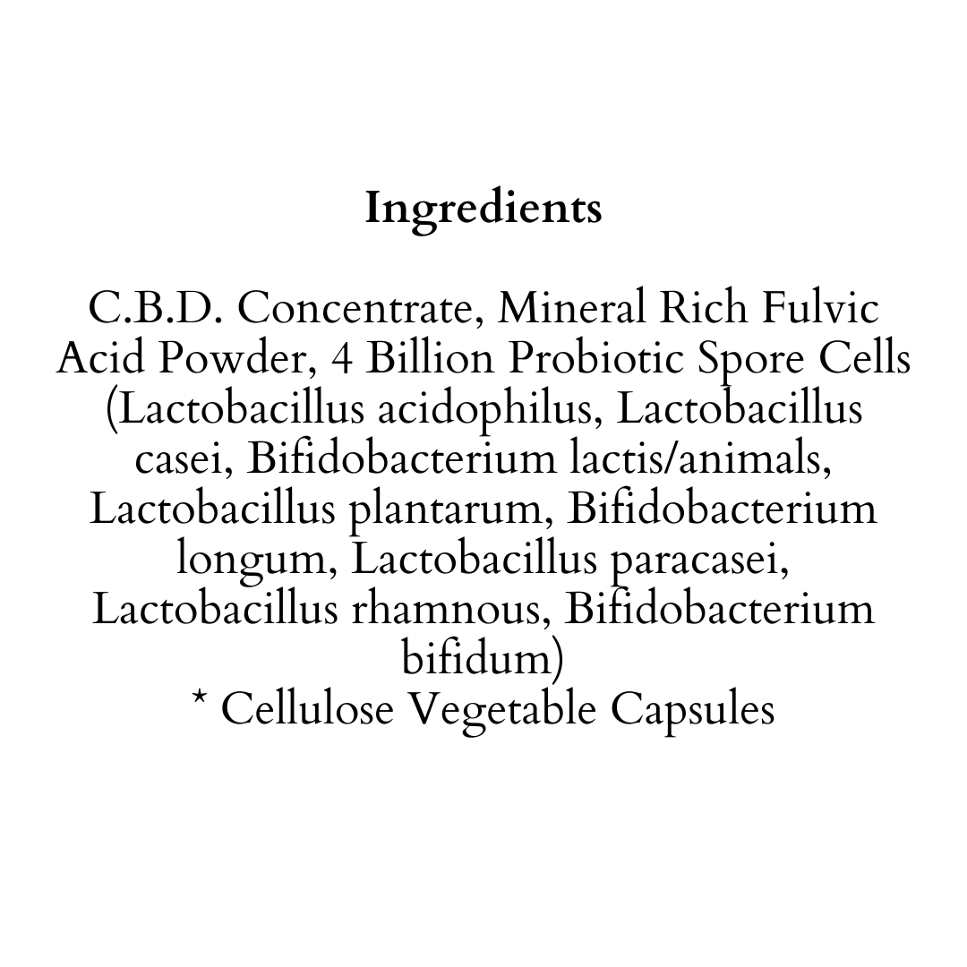 Probiotics Capsules - 300mg CBD